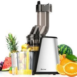 Slow Masticating Juicer Cold Press Extractor