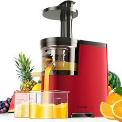 Slow Fruit Vegetable Masticating Juicer