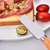 Stainless Steel Cheese Knife Set