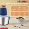 5 Core Food Processor 300W Motor, Electric Chopper Heavy Duty