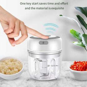 Mini Electric Garlic Masher (Color: White, Capacity: 250ML)